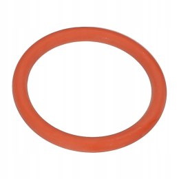 Oryginalna uszczelka zaparzacza SAECO PHILIPS GAGGIA 996530059406