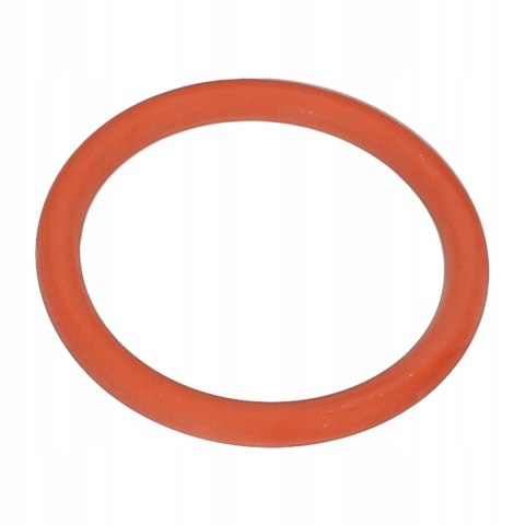 Oryginalna uszczelka zaparzacza SAECO PHILIPS GAGGIA 996530059406