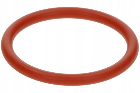 Oryginalna uszczelka zaparzacza do ekspresów SIEMENS/BOSCH