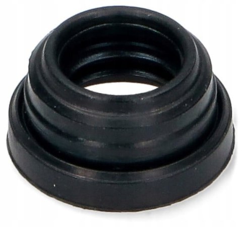 Uszczelka zbiornika wody ekspresu Saeco